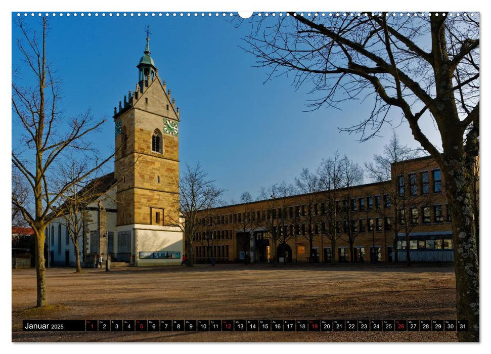 Fellbach im Fokus (CALVENDO Premium Wandkalender 2025)