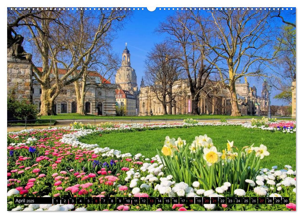 Dresden - Wunderschönes Elbflorenz (CALVENDO Premium Wandkalender 2025)