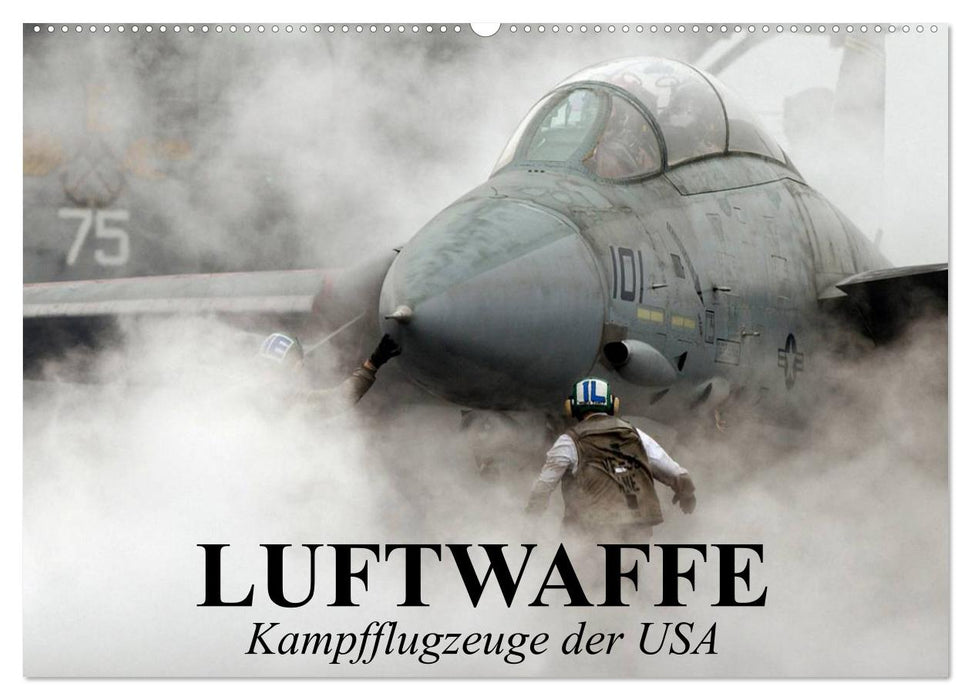 Luftwaffe. Kampfflugzeuge der USA (CALVENDO Wandkalender 2025)