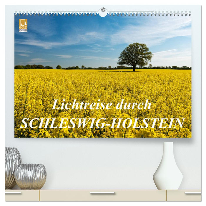 Lichtreise durch Schleswig-Holstein (CALVENDO Premium Wandkalender 2025)