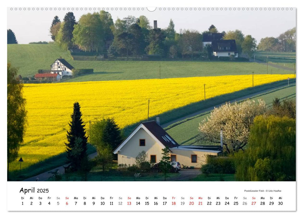 Haaner Bilderbogen 2025 (CALVENDO Wandkalender 2025)