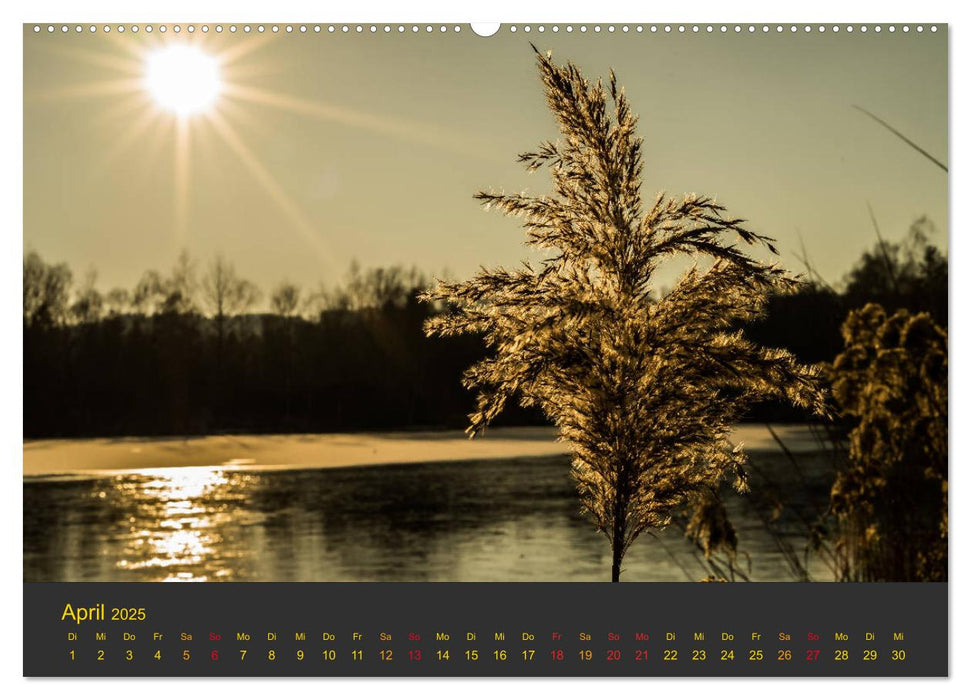 Morgendämmerung (CALVENDO Premium Wandkalender 2025)