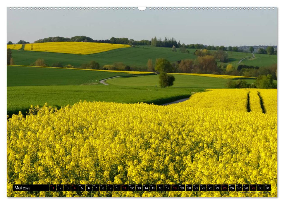 Mettmanner Bilderbogen 2025 (CALVENDO Premium Wandkalender 2025)