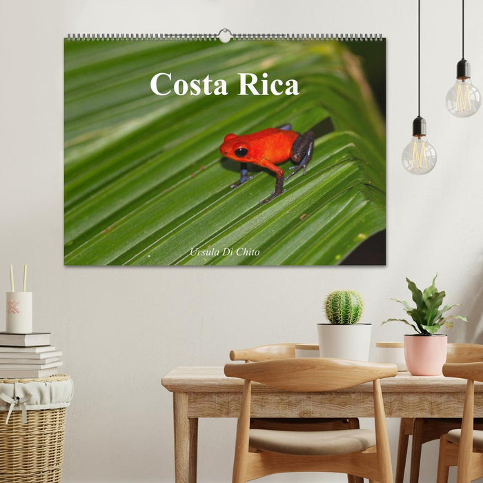 Costa Rica (CALVENDO Wandkalender 2025)