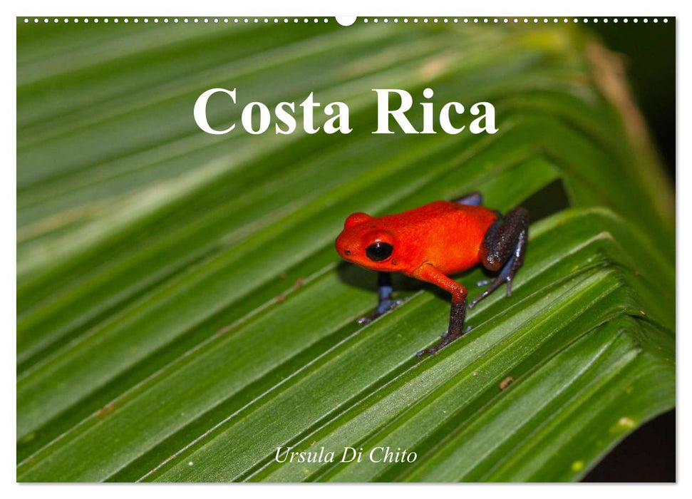 Costa Rica (CALVENDO Wandkalender 2025)