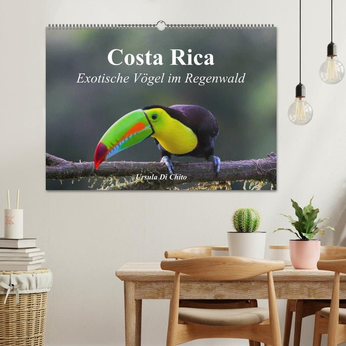 Costa Rica - Exotische Vögel im Regenwald (CALVENDO Wandkalender 2025)