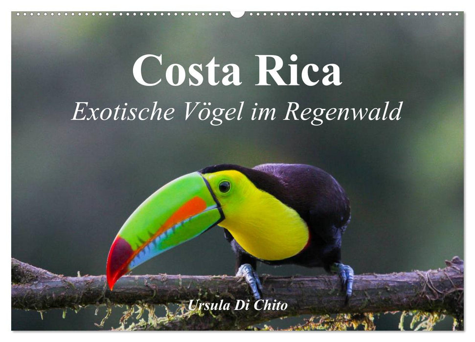 Costa Rica - Exotische Vögel im Regenwald (CALVENDO Wandkalender 2025)