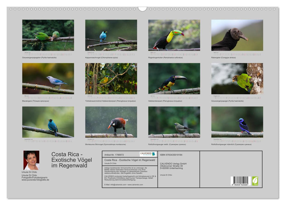 Costa Rica - Exotische Vögel im Regenwald (CALVENDO Wandkalender 2025)