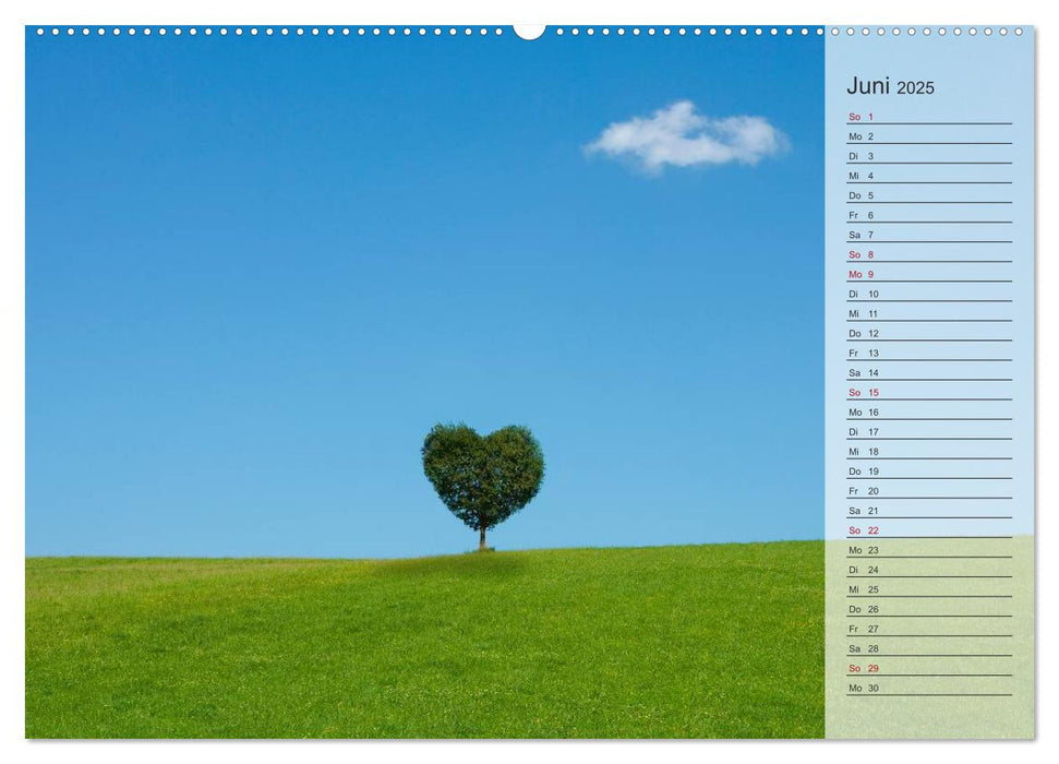 Tage von Herzen (CALVENDO Premium Wandkalender 2025)