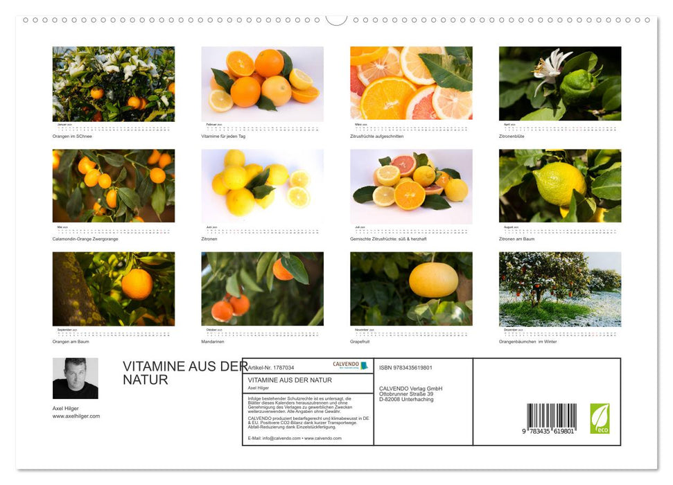 VITAMINE AUS DER NATUR (CALVENDO Premium Wandkalender 2025)