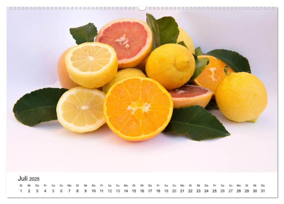 VITAMINE AUS DER NATUR (CALVENDO Premium Wandkalender 2025)