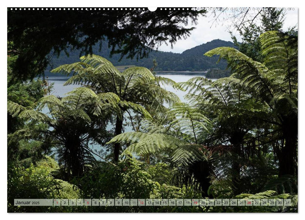 Primärwald - Neuseeland (CALVENDO Premium Wandkalender 2025)