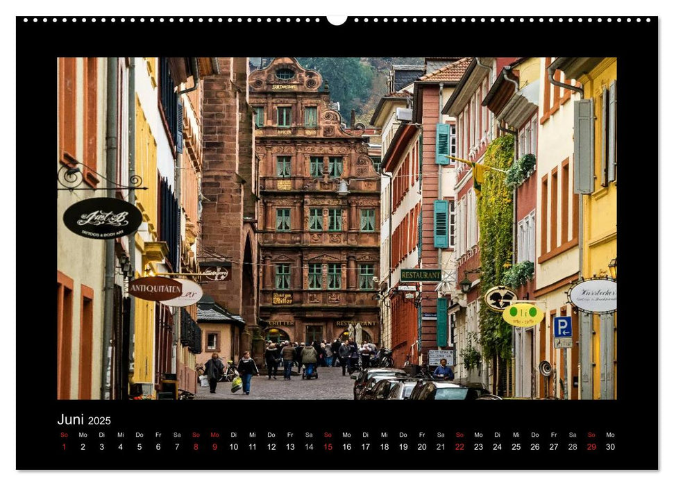 Heidelberg Views - Heidelberger Ansichten (CALVENDO Premium Wandkalender 2025)