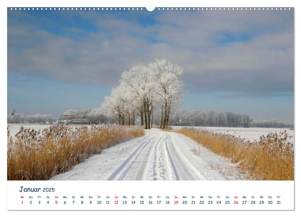 Butjadingen. Impressionen zwischen Jade und Nordsee (CALVENDO Premium Wandkalender 2025)