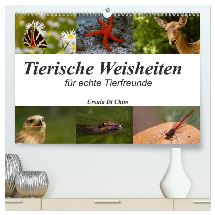 Tierische Weisheiten (CALVENDO Premium Wandkalender 2025)