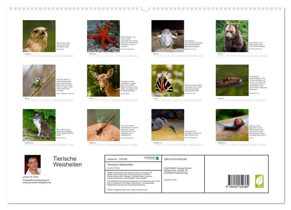 Tierische Weisheiten (CALVENDO Premium Wandkalender 2025)