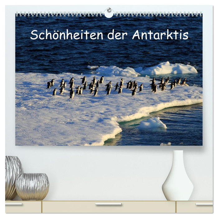 Schönheiten der Antarktis (CALVENDO Premium Wandkalender 2025)