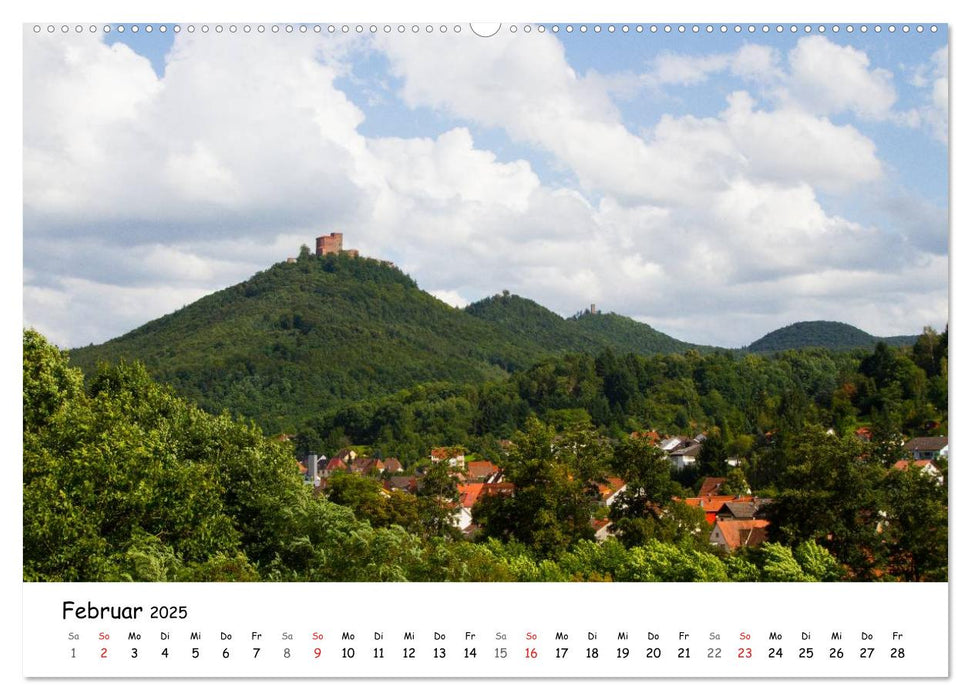 Naturschauplätze der Südpfalz (CALVENDO Premium Wandkalender 2025)