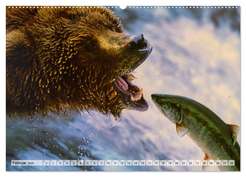 Alaska und Kanada (CALVENDO Premium Wandkalender 2025)