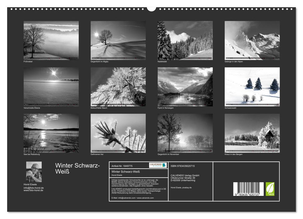 Winter Schwarz-Weiß (CALVENDO Premium Wandkalender 2025)
