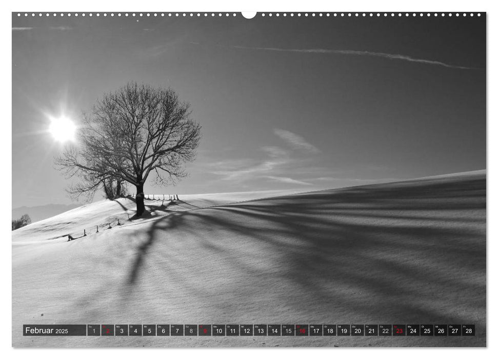 Winter Schwarz-Weiß (CALVENDO Premium Wandkalender 2025)