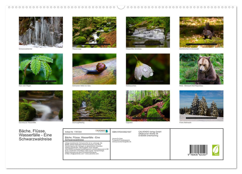 Bäche, Flüsse, Wasserfälle - Eine Schwarzwaldreise (CALVENDO Premium Wandkalender 2025)