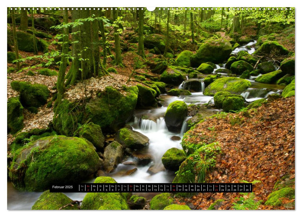 Bäche, Flüsse, Wasserfälle - Eine Schwarzwaldreise (CALVENDO Premium Wandkalender 2025)