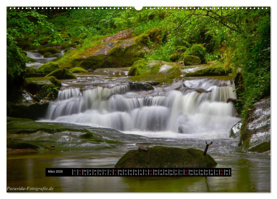 Bäche, Flüsse, Wasserfälle - Eine Schwarzwaldreise (CALVENDO Premium Wandkalender 2025)