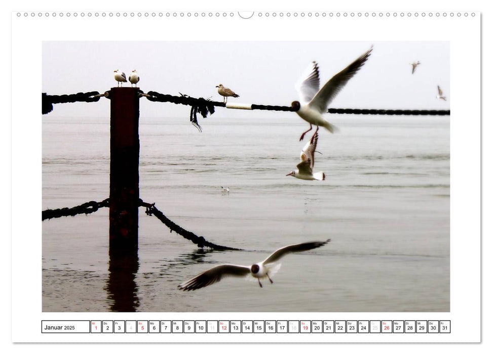 Nordseefeeling - Cuxhaven (CALVENDO Premium Wandkalender 2025)