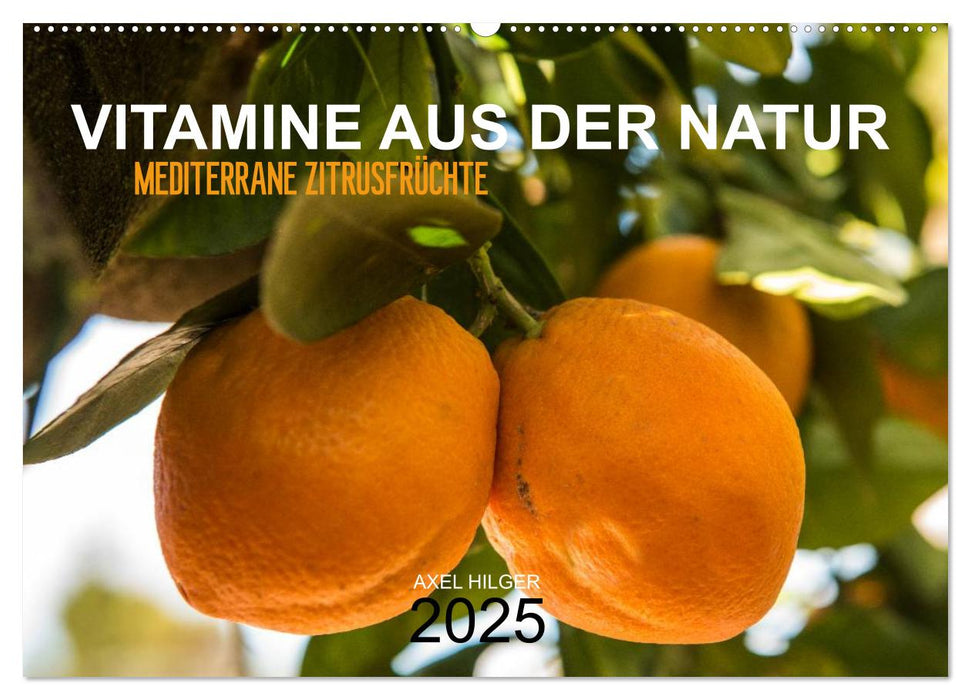 VITAMINE AUS DER NATUR (CALVENDO Wandkalender 2025)