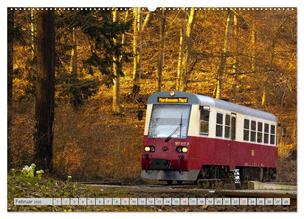 Harzer Dampfmomente (CALVENDO Premium Wandkalender 2025)