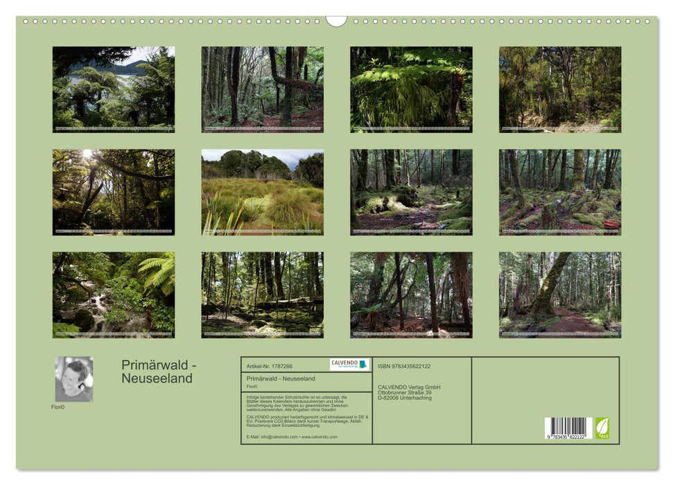 Primärwald - Neuseeland (CALVENDO Wandkalender 2025)