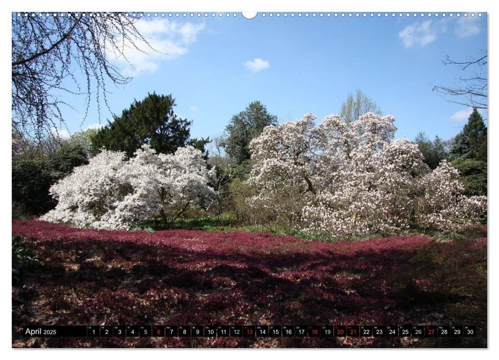Hannovers prachtvolle Gärten (CALVENDO Premium Wandkalender 2025)