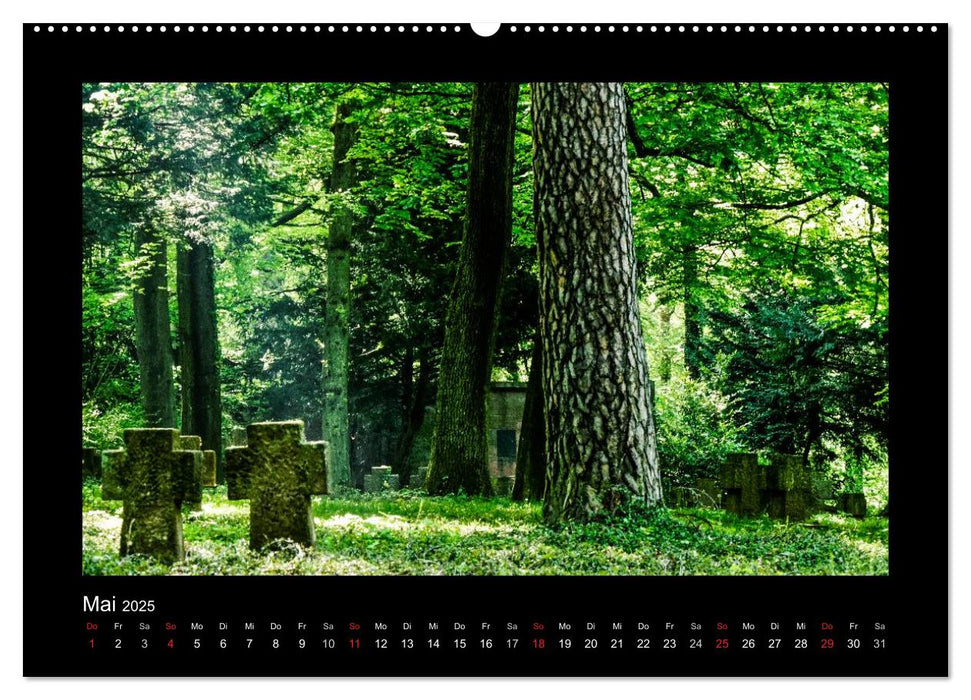 Heidelberg Views - Heidelberger Ansichten (CALVENDO Wandkalender 2025)