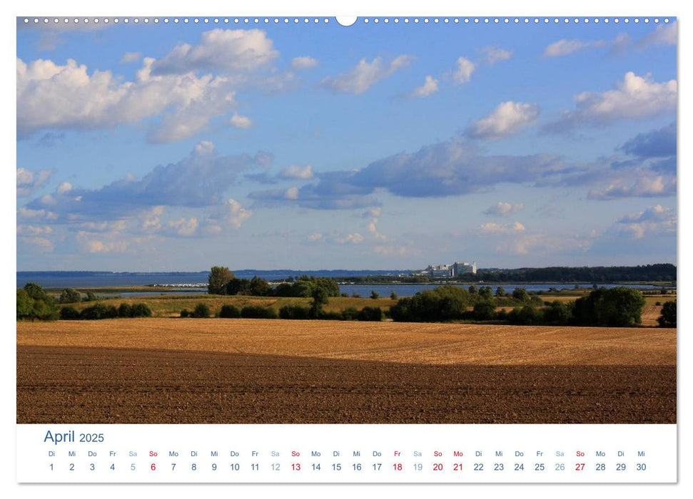 Schwansen 2025. Impressionen zwischen Schlei und Ostsee (CALVENDO Wandkalender 2025)