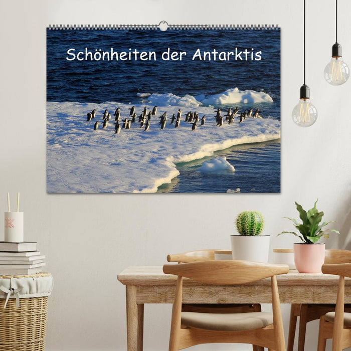 Schönheiten der Antarktis (CALVENDO Wandkalender 2025)