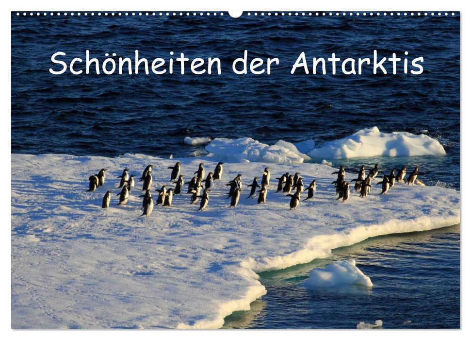 Schönheiten der Antarktis (CALVENDO Wandkalender 2025)