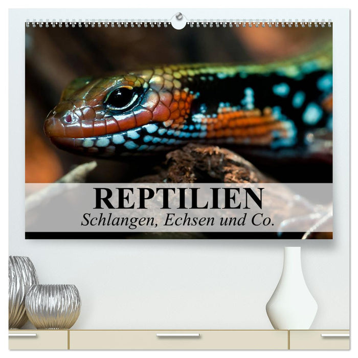 Reptilien Schlangen, Echsen und Co. (CALVENDO Premium Wandkalender 2025)