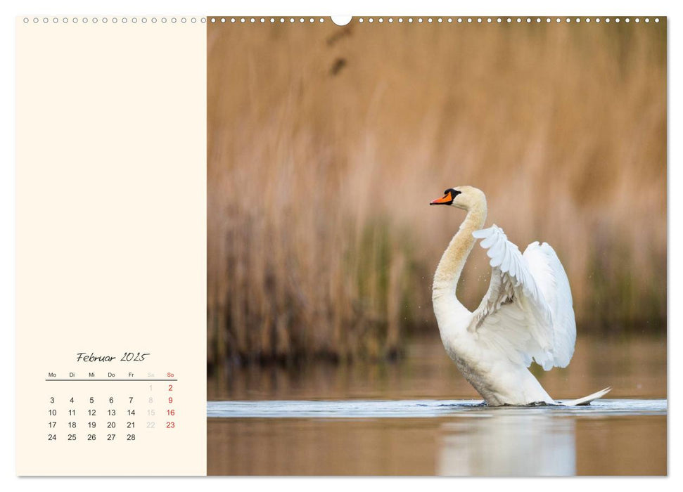 Naturstreifzüge. Fauna an heimischen Flüssen und Seen (CALVENDO Premium Wandkalender 2025)