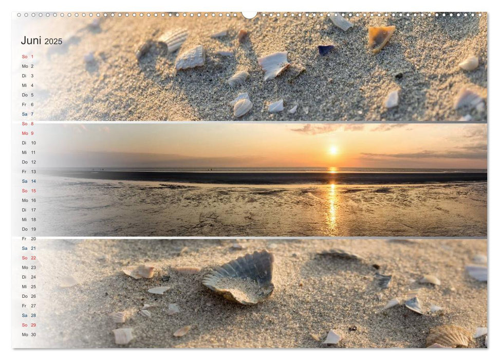 Küstenstreifen an der Nordsee (CALVENDO Wandkalender 2025)