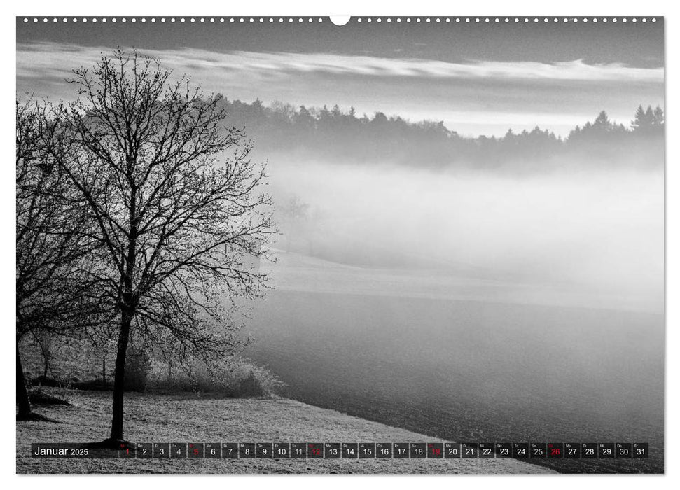 Winter Schwarz-Weiß (CALVENDO Wandkalender 2025)