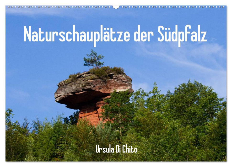 Naturschauplätze der Südpfalz (CALVENDO Wandkalender 2025)