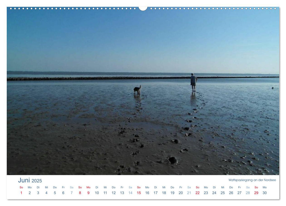 Ebbe und Watt 2025. Impressionen von der Nordseeküste (CALVENDO Premium Wandkalender 2025)