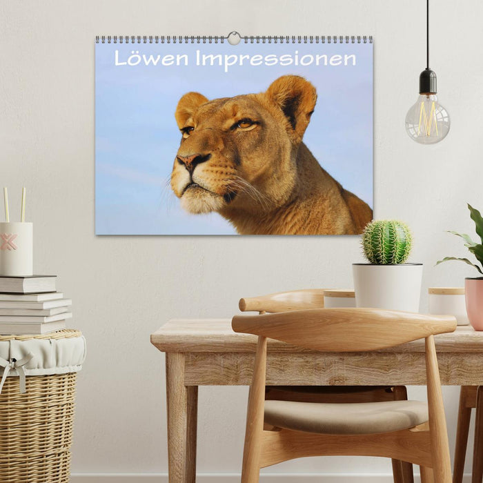 Löwen Impressionen (CALVENDO Wandkalender 2025)