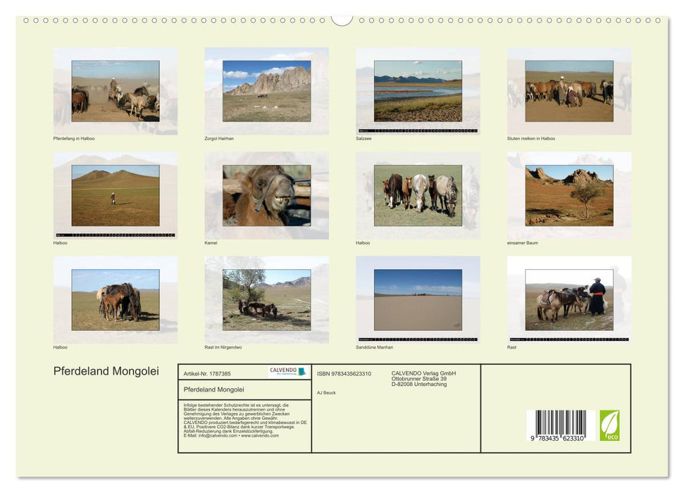 Pferdeland Mongolei (CALVENDO Premium Wandkalender 2025)