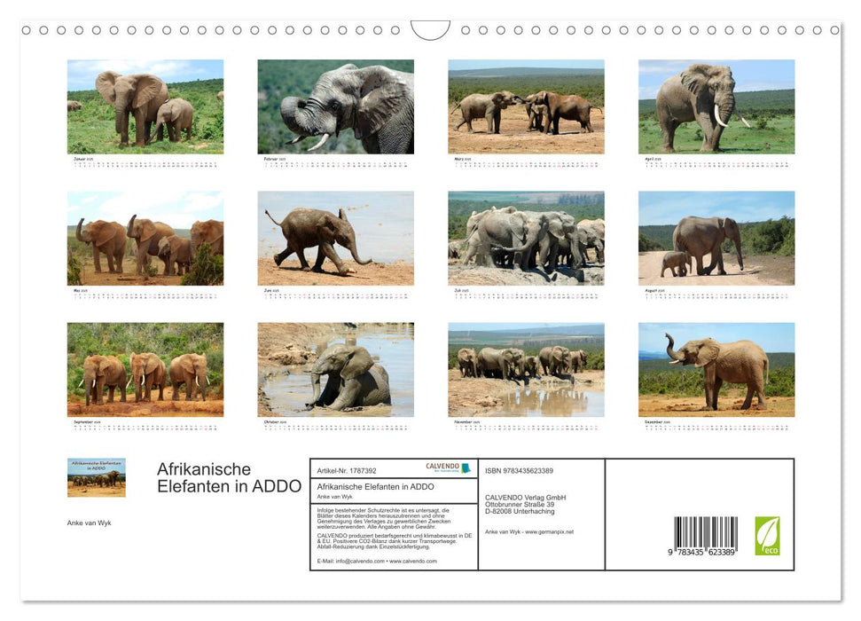 Afrikanische Elefanten in ADDO (CALVENDO Wandkalender 2025)