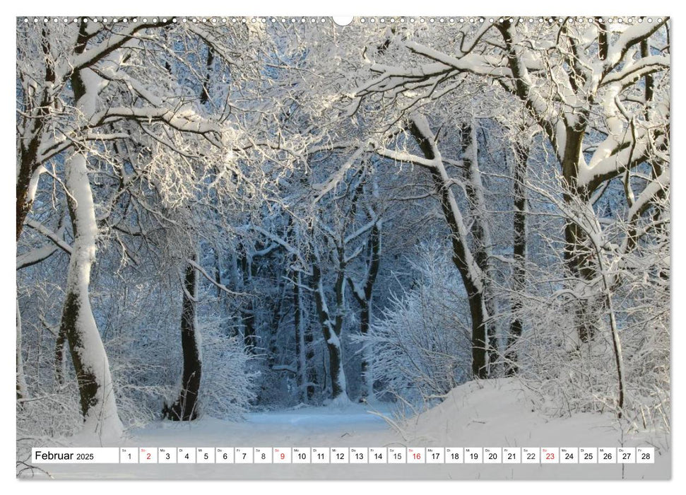 Wintermärchen Landschaften im Schnee (CALVENDO Premium Wandkalender 2025)