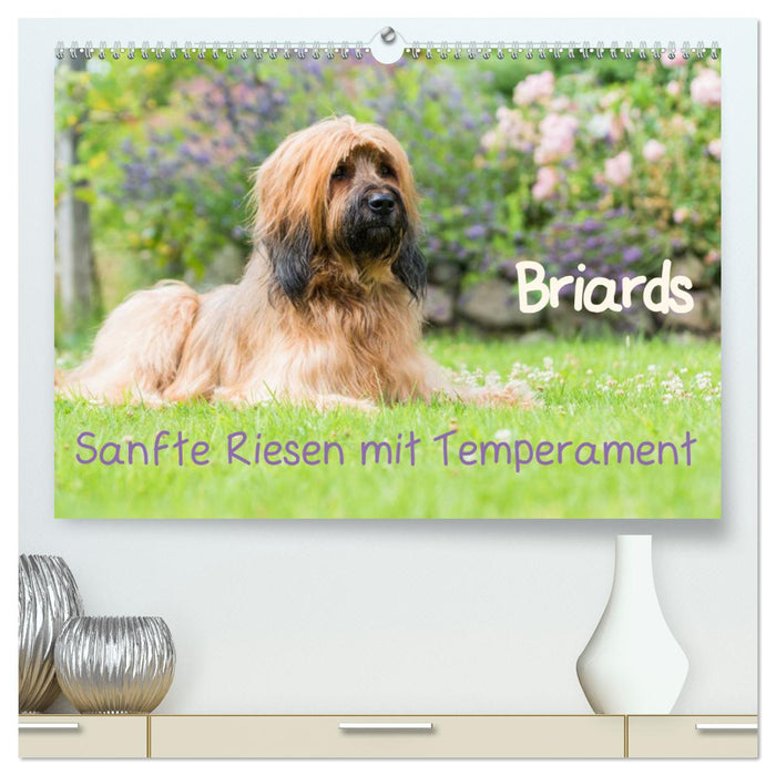 Briards - sanfte Riesen mit Temperament (CALVENDO Premium Wandkalender 2025)