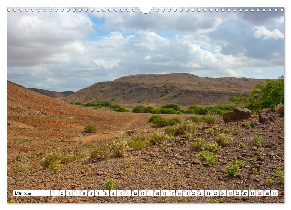 Boa Vista - Kapverden. Die Gemütliche (CALVENDO Wandkalender 2025)