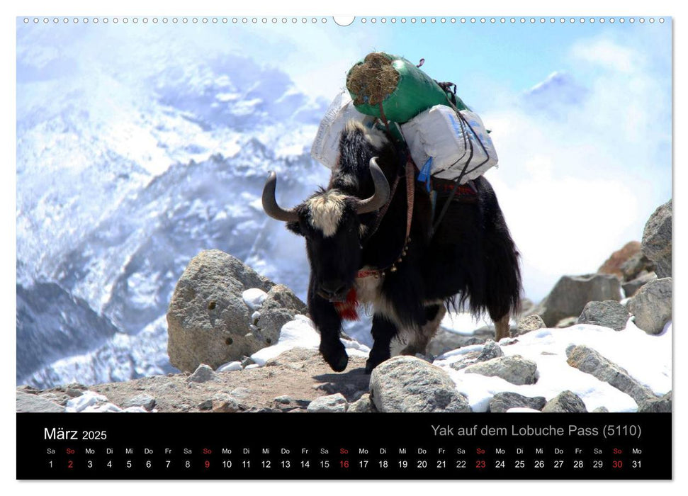 Die schönsten Berge des Khumbu Himal (CALVENDO Premium Wandkalender 2025)